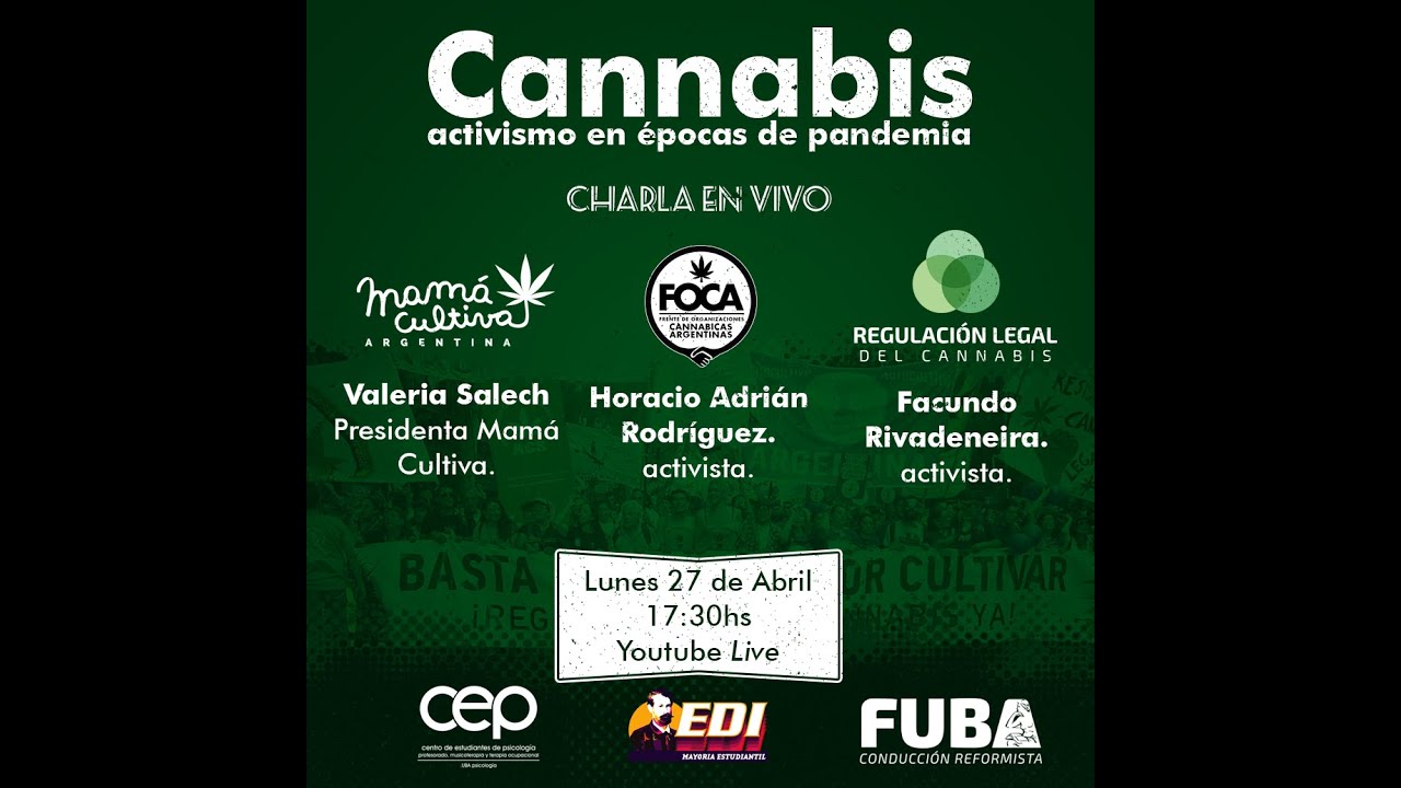 Activismo cannábico: La lucha por la legalización