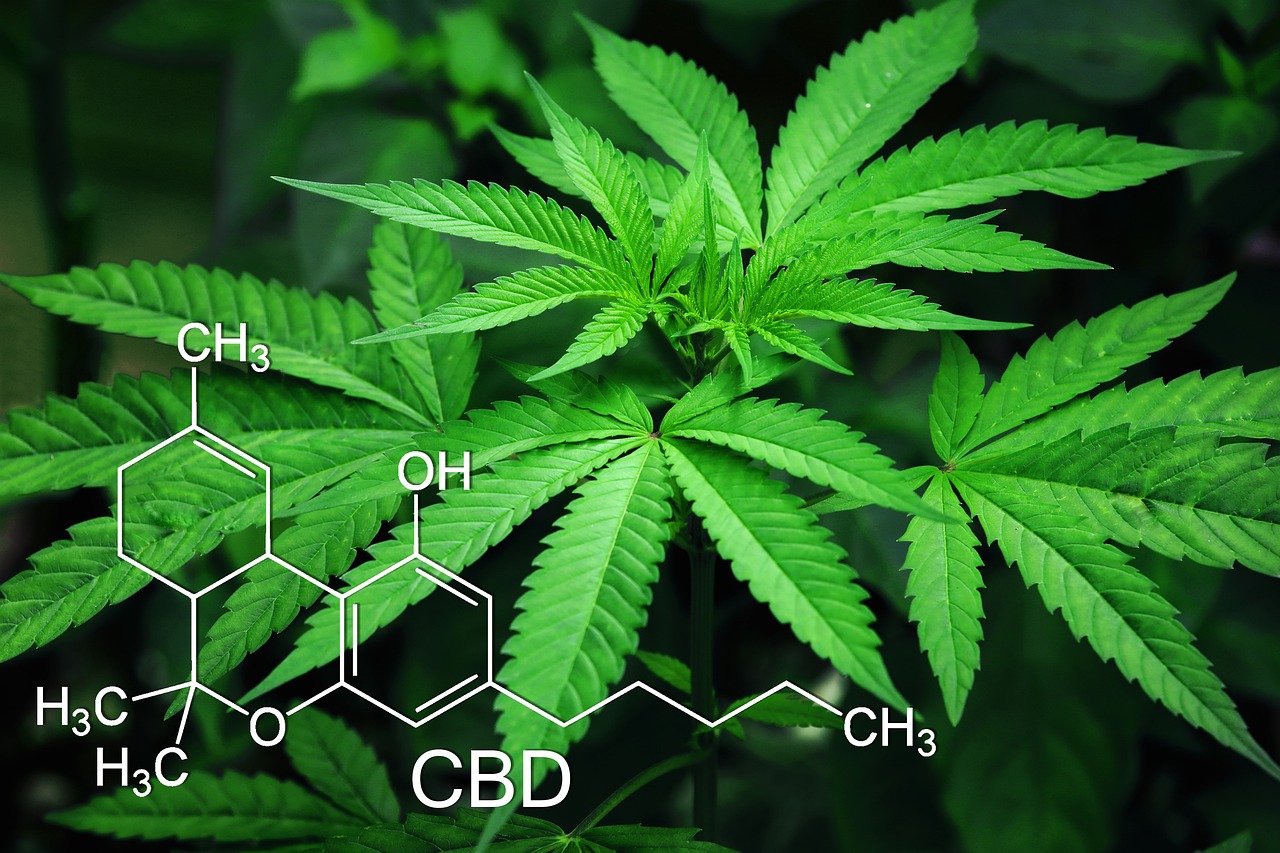 Qué es el CBD y cuáles son sus propiedades y formatos