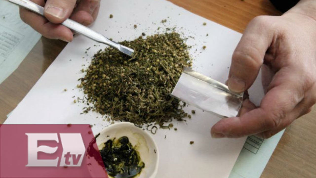 Los peligros de los cannabinoides sintéticos: K2 y Spice al descubierto