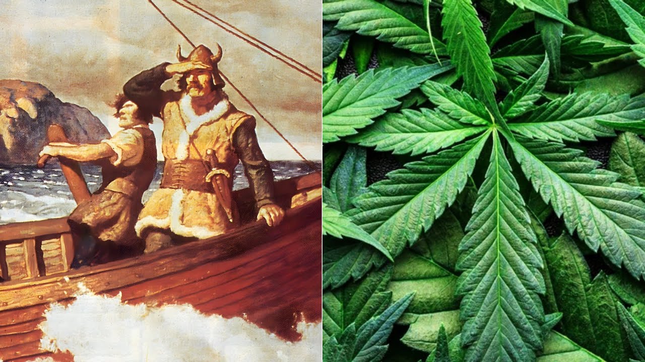 Historia del cannabis: Un recorrido por las culturas del mundo