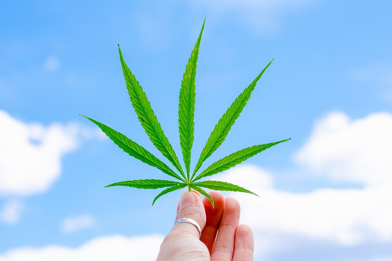 Cannabis Apparel: Style, Hemp Fabric, and Cannabis Culture