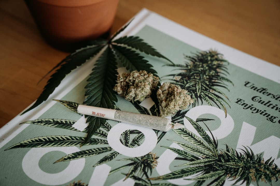 Strawberry Cough y su perfil dulce de aroma afrutado