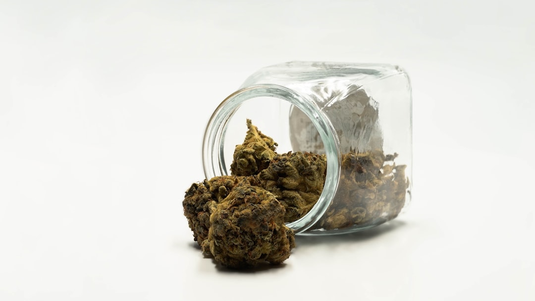 Blue Dream aromas, sabores y rasgos de esta variedad