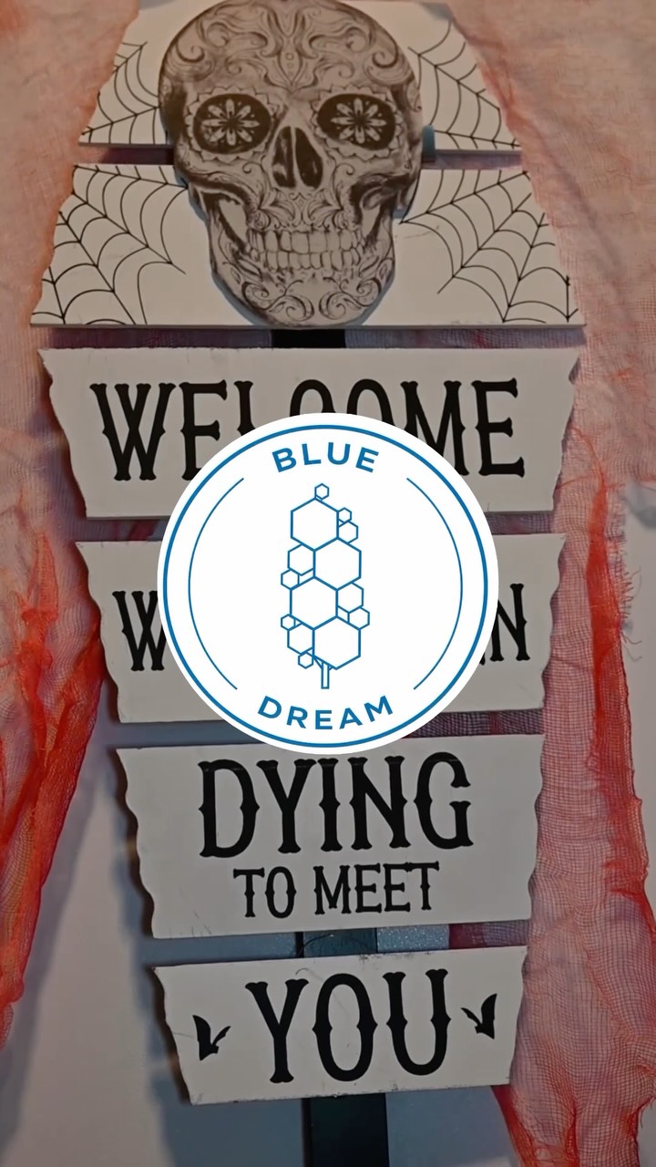 Halloween en Blue Dream